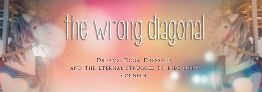 The Wrong Diagonal - Dogs, Dressage, Dreams and everything else. 