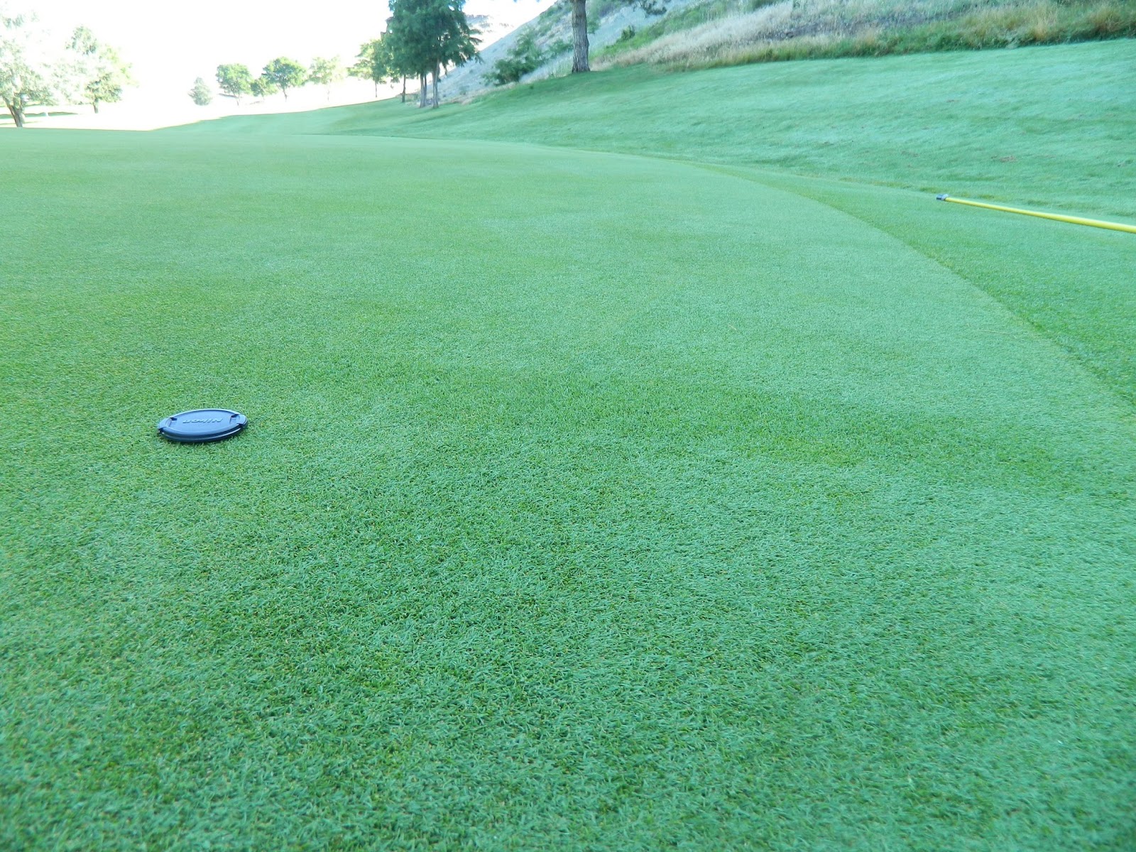 LGCC Golf Maintenance Grooming greens Grain and brushes