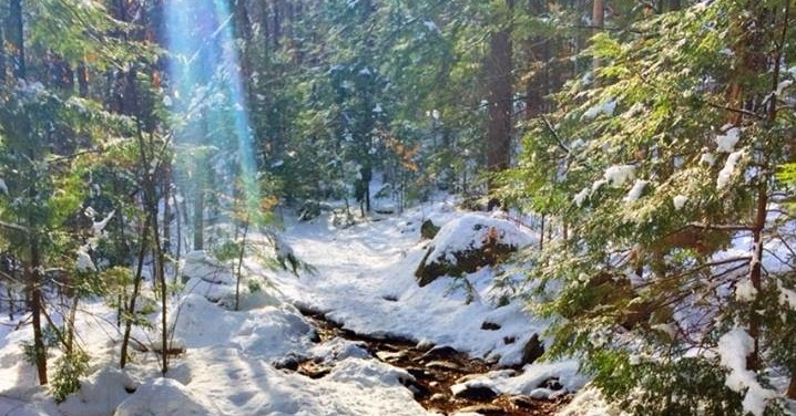 The Freelance Adventurer Pawtuckaway In Winter