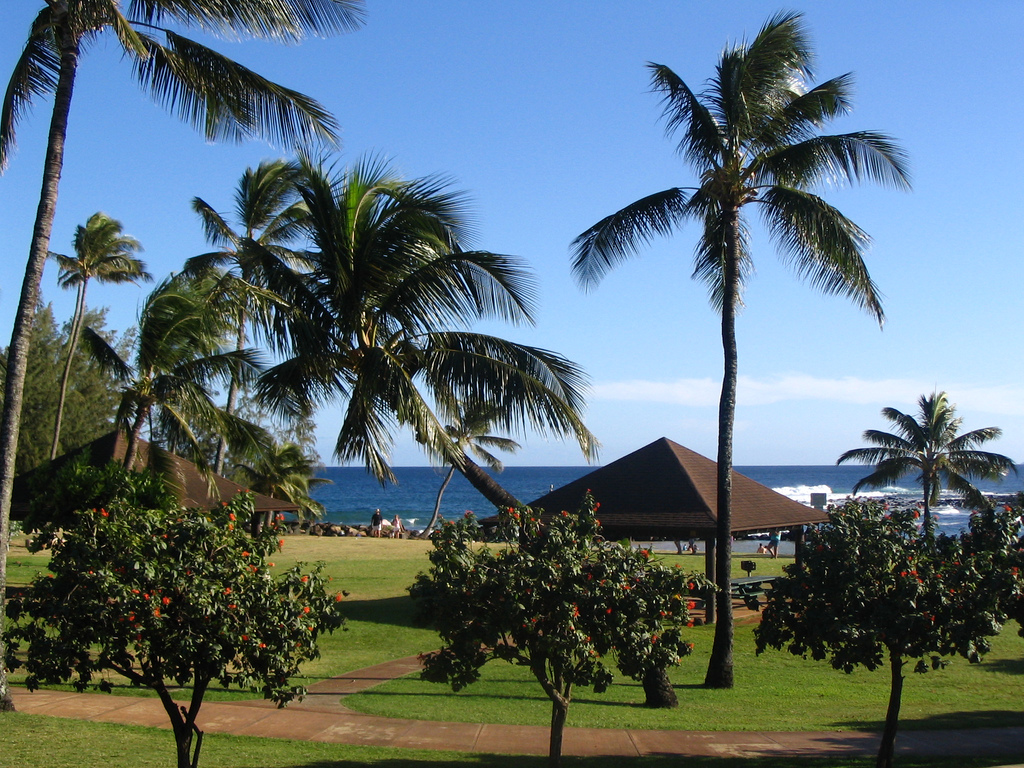 Most Beautiful Islands Hawaiian islands Kauai
