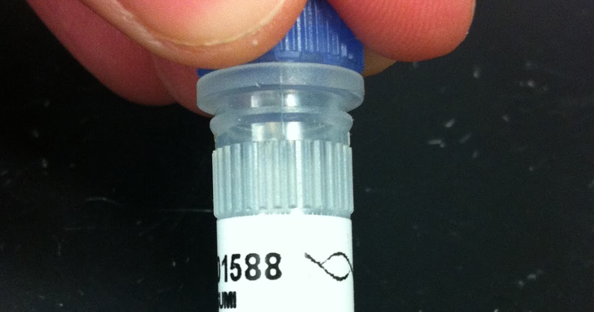 Devo ASU Blog Primer Testing and Running a Gel