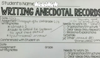 Writing Anecdotal Records, Writing Conferences