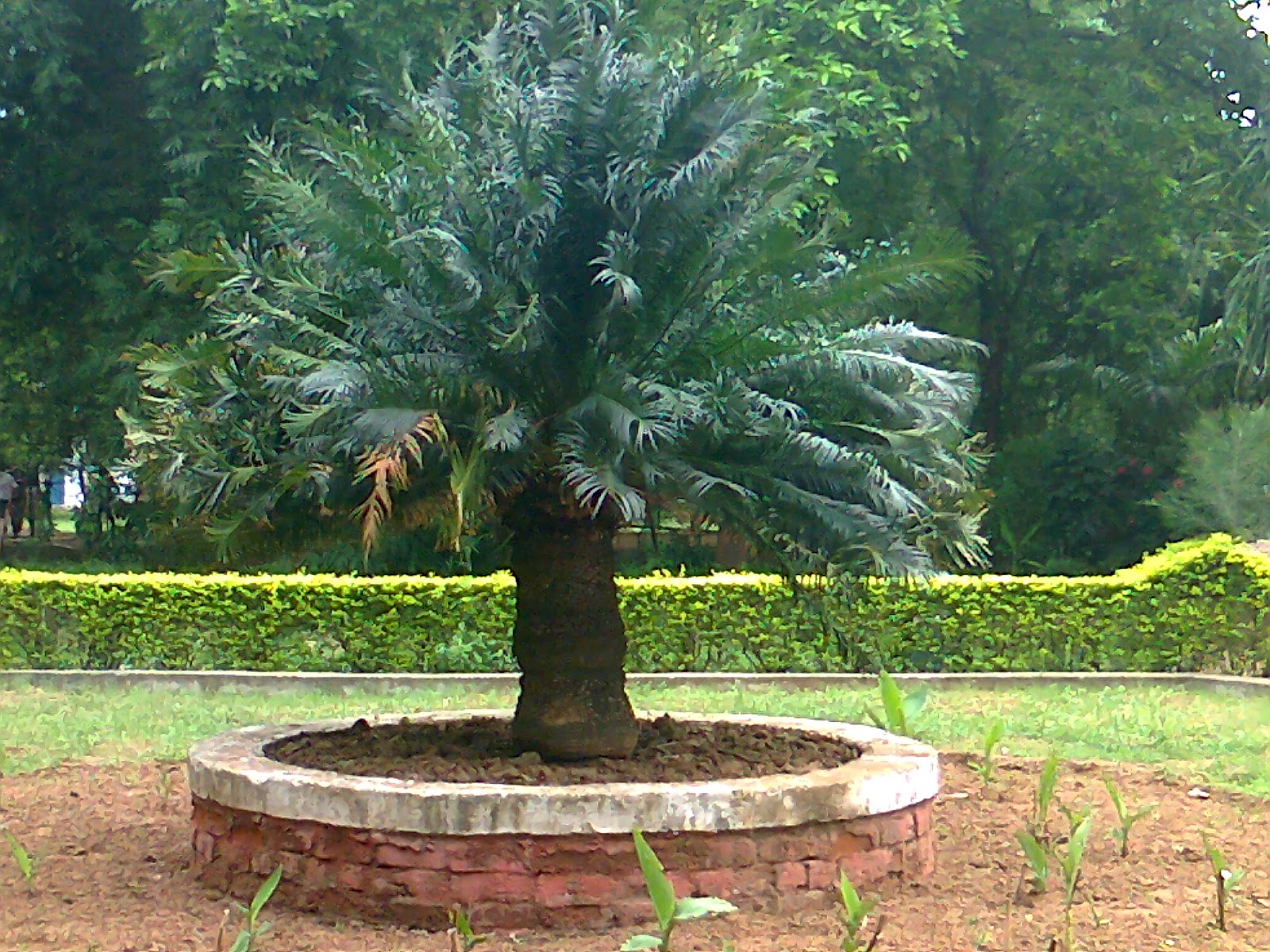 Green Gujarat state indroda nature park gandhinagar