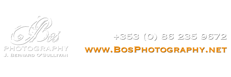 BosPhotography/Blog