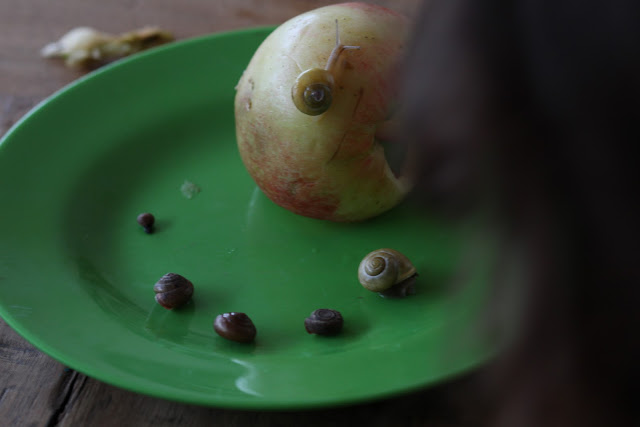 Gut Kussen Richtig Kussen Diese Kusse Lassen Ihn Dahinschmelzen