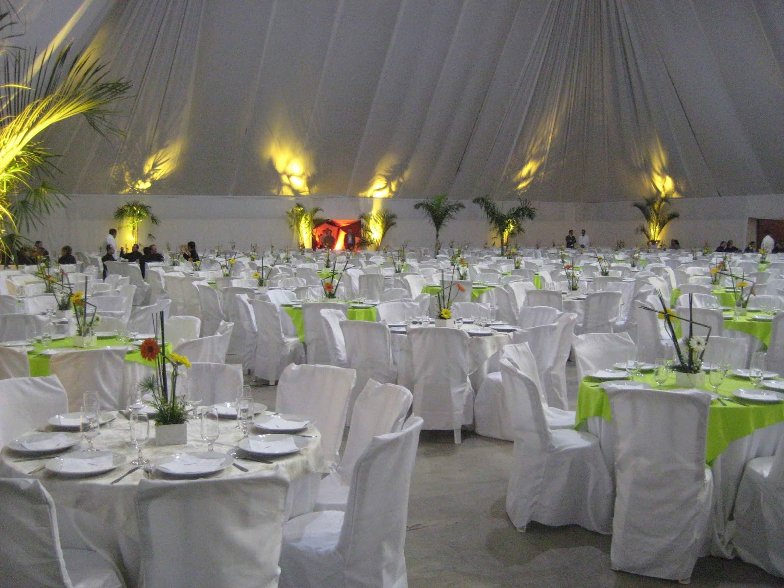 em Joinville Decoração para eventos em Joinville 4730264086 em Joinville Decoração para eventos em Joinville 4730264086