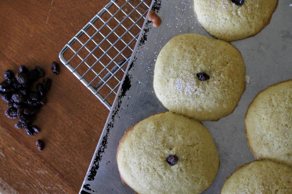 Jennifer Murch shirley's sugar cookies