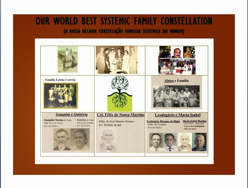 OUR WORLD BEST SYSTEMIC FAMILY CONSTALLATION