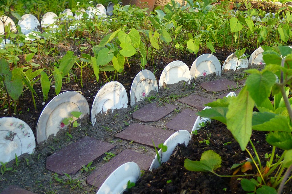 TEODECO: Dish Garden / Geschirr-Garten