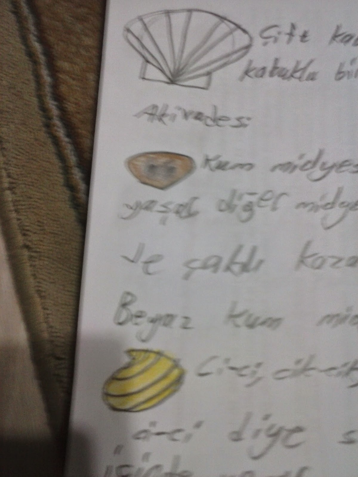 Öylesine, Bildiğin Blog Bir sürü yazı bekleşiyor