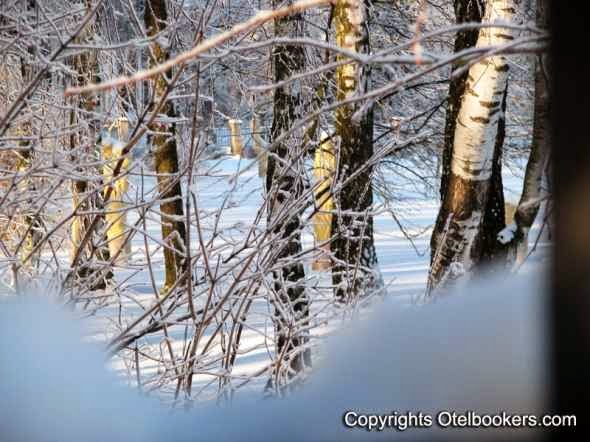 Winter_in_Belarus