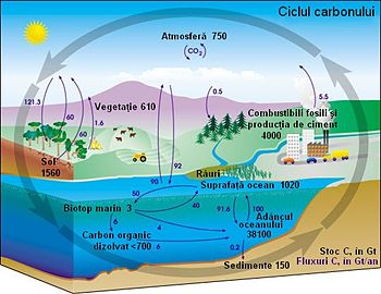 Chimie Fizică și Ecologie 2012