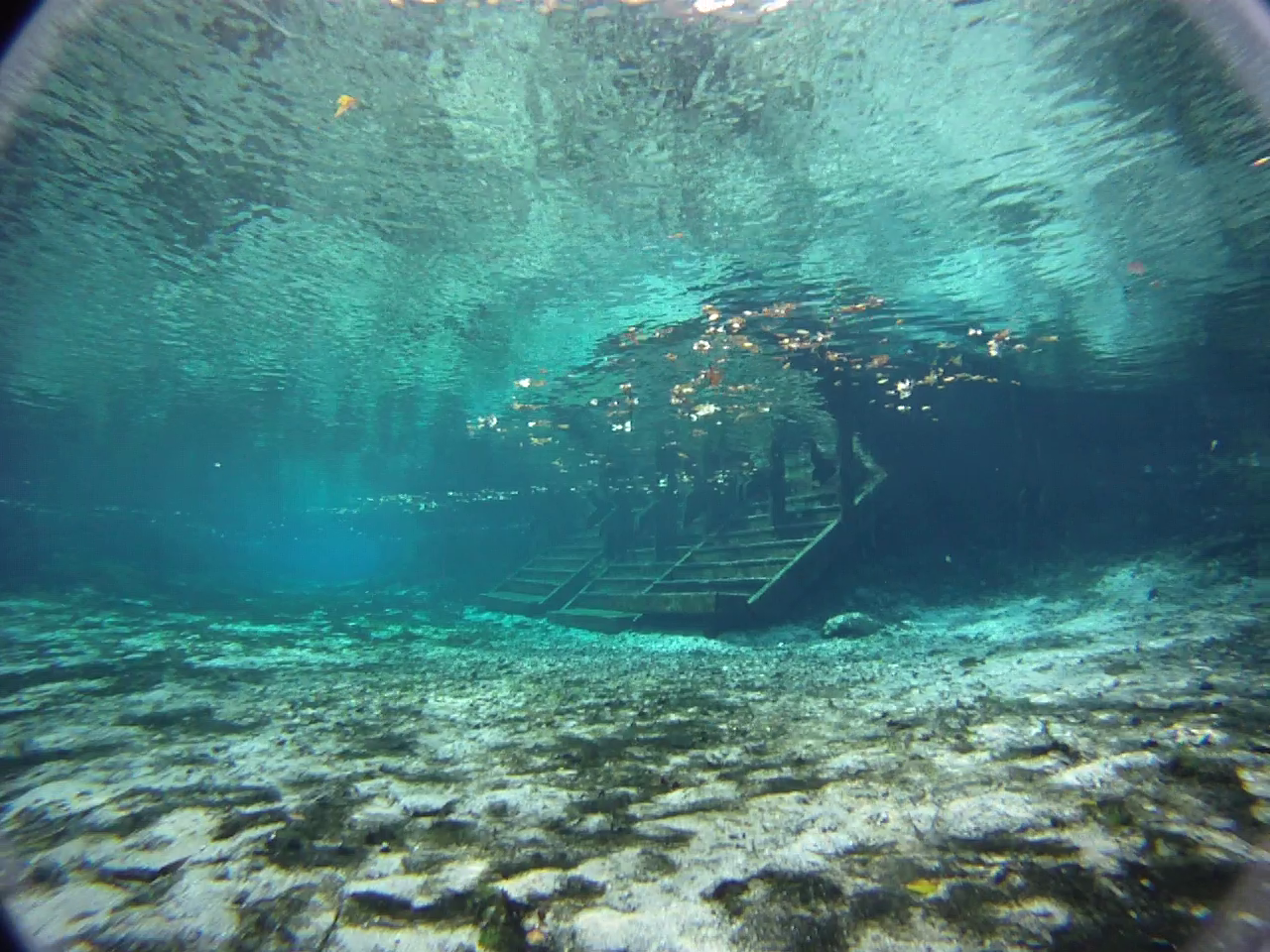 Ginnie Springs Water Temperature Today at Jaime King blog