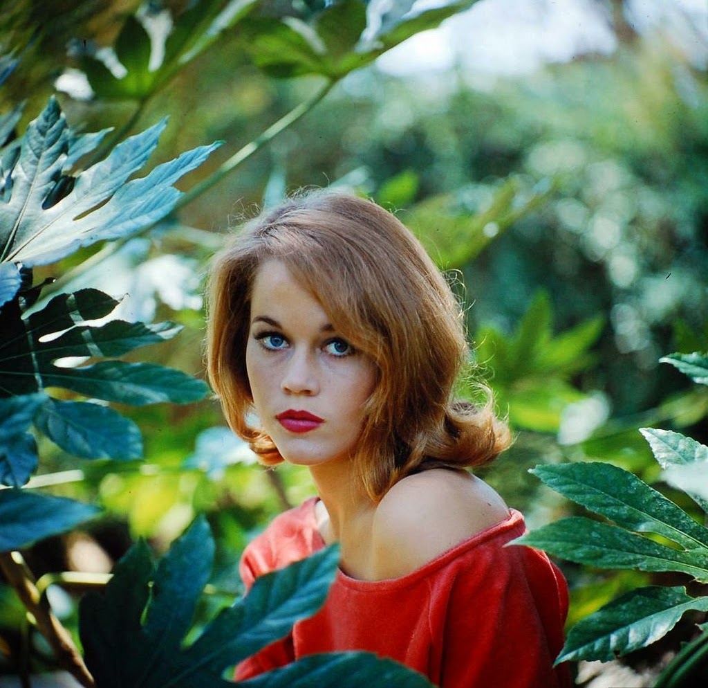 2014 - The Year In Christian Music Bundle 15 download