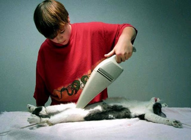 Мастурбатор Для Кота