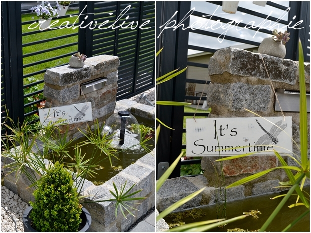 Schilder Und Libellen Creativlive