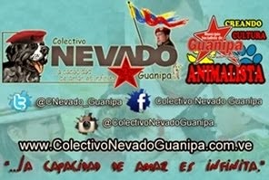 COLECTIVO NEVADO-GUANIPA.