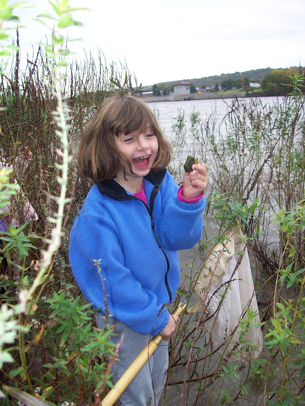 Essay on nature lover