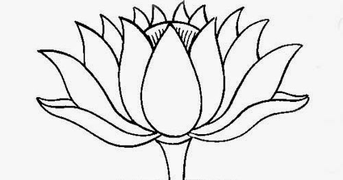 Image Result For Mewarnai Bunga Mawar Dengan Pensil Warna Image Result For Mewarnai Bunga Mawar Dengan Pensil Warna