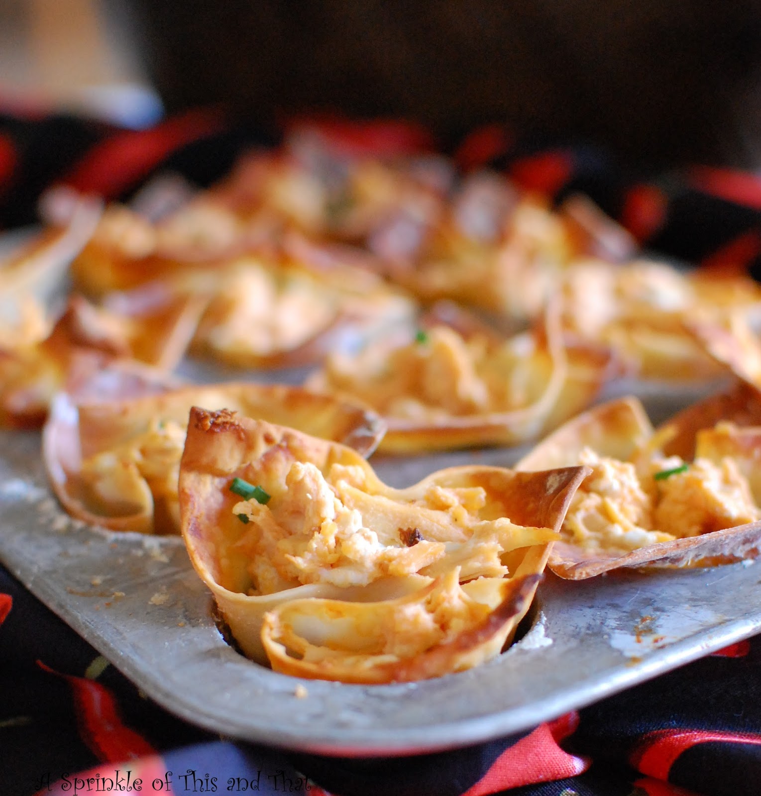 A Sprinkle of This and That: Wacky for Wontons