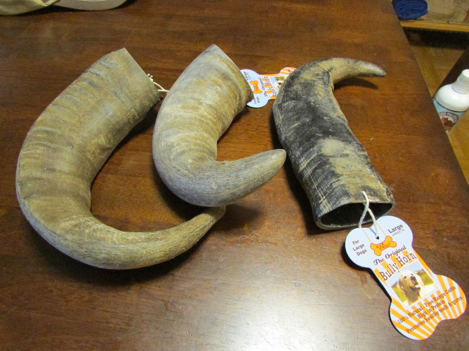 My Rotten Dogs Bully Horn Review