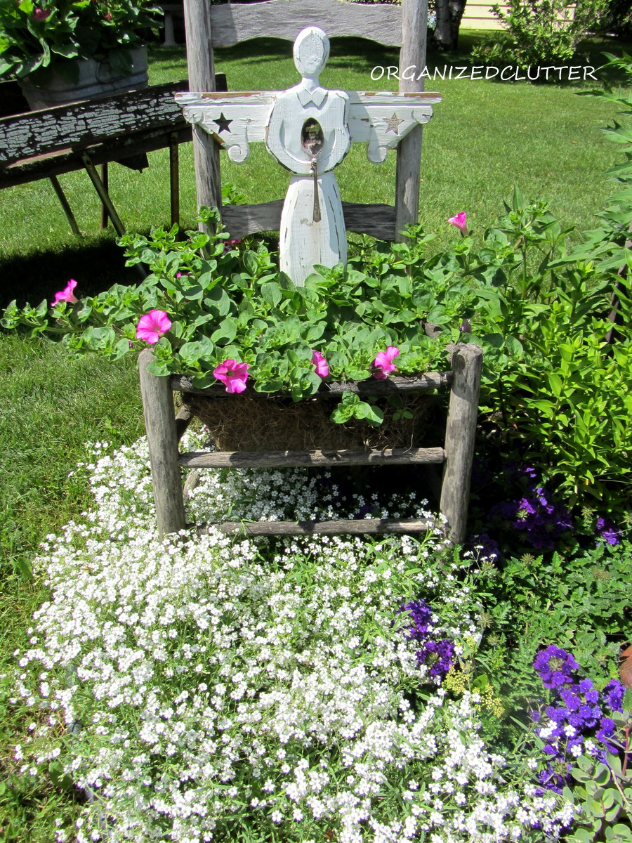 Outdoor This and That 15 Creeping Baby's Breath Organized Clutter
