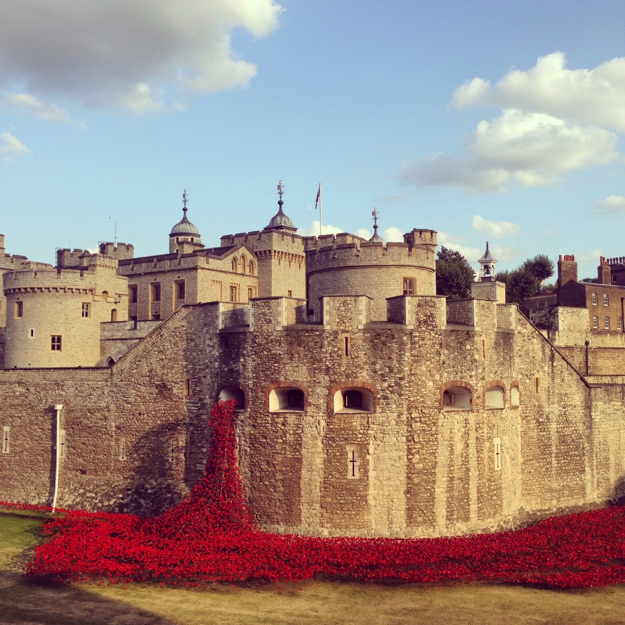 Poppies At The Tower of London angloyankophile