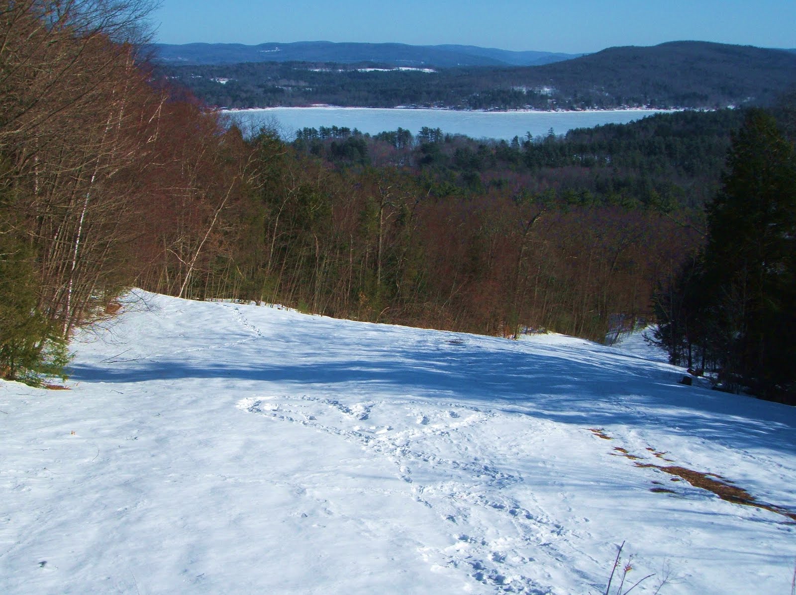 weeks in a year...number