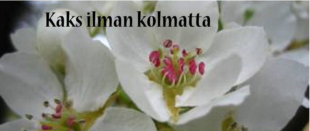 Kaks ilman kolmatta