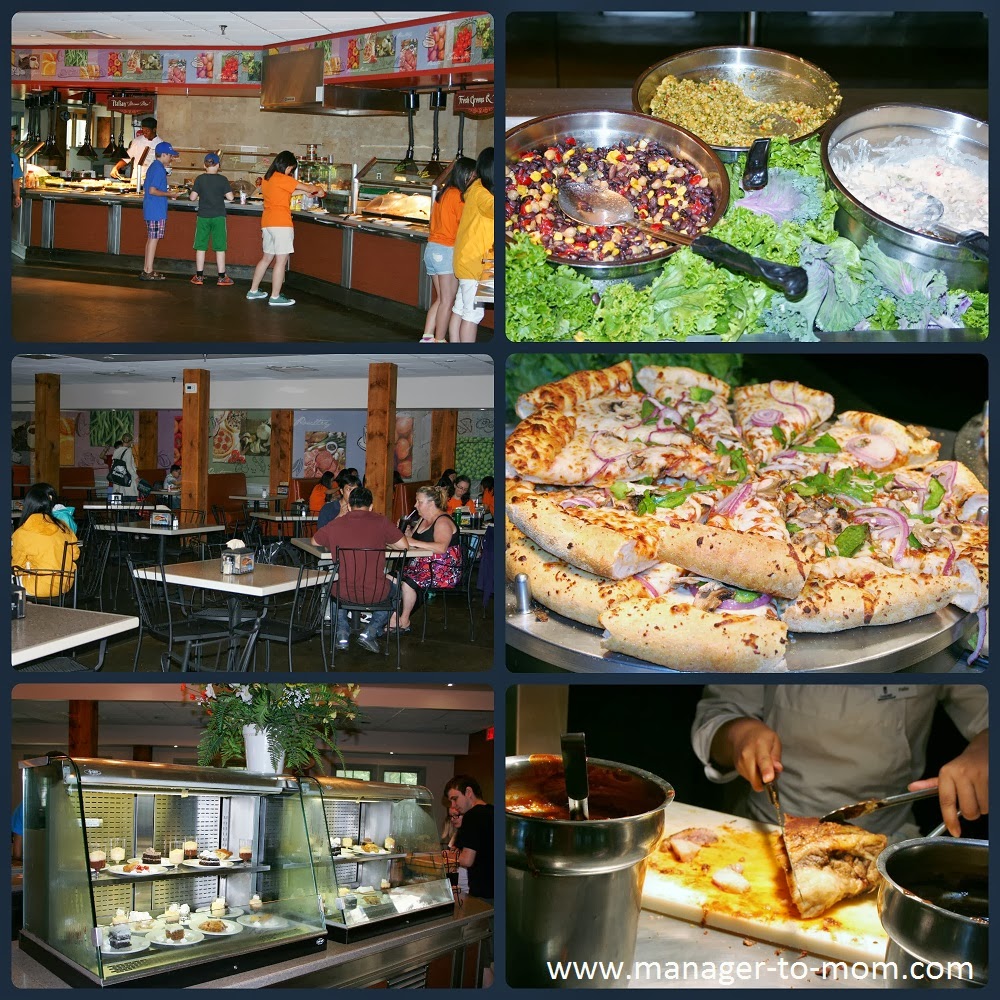 Manager to Mom Canada's Wonderland A Funtastic Experience for Young