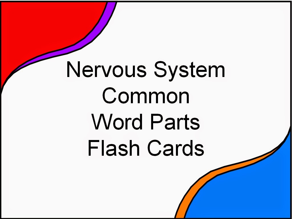 nervous system flash cards The following are free mcat flashcards and free mcat notes that cover all 4 nervous system flashcards respiratory system flashcards. nervous system flash cards The following are free mcat flashcards and free mcat notes that cover all 4 nervous system flashcards respiratory system flashcards.