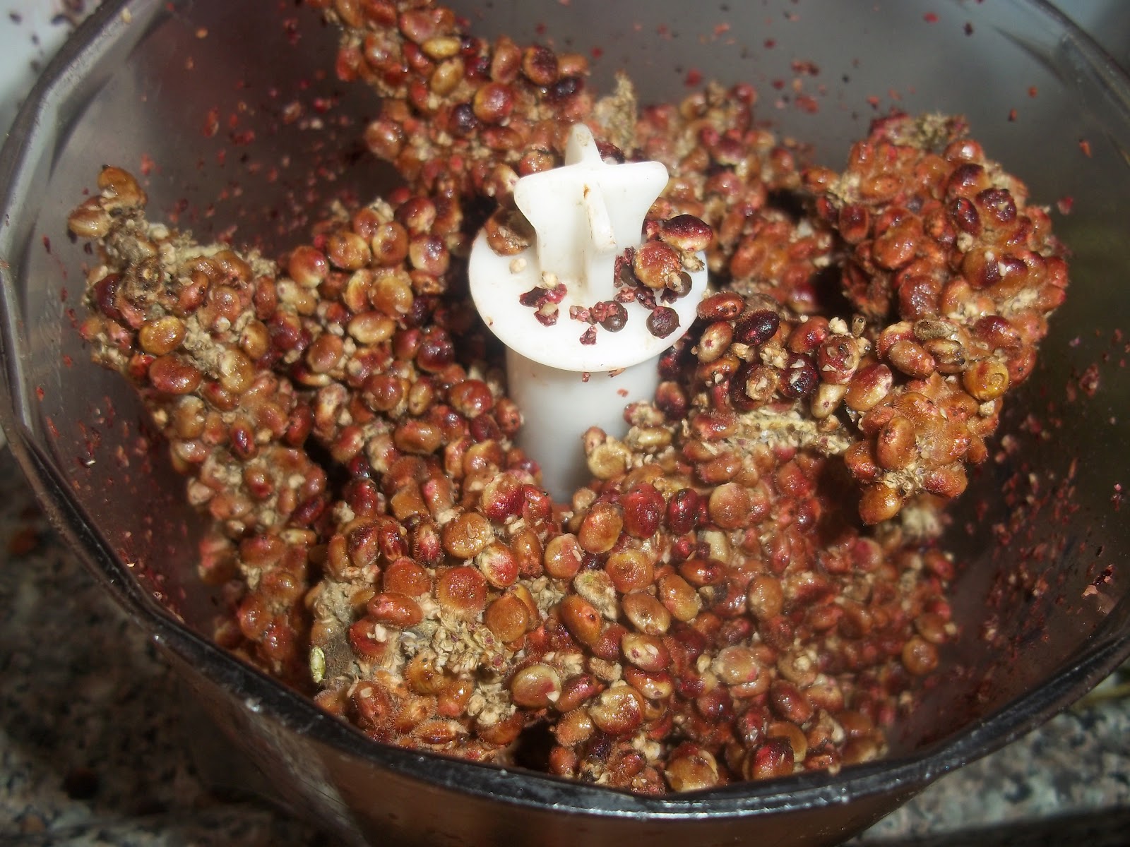Foraging Sumac Edible Wild Plant Penniless Parenting