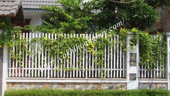  Hàng rào sắt đẹp cho sân vườn