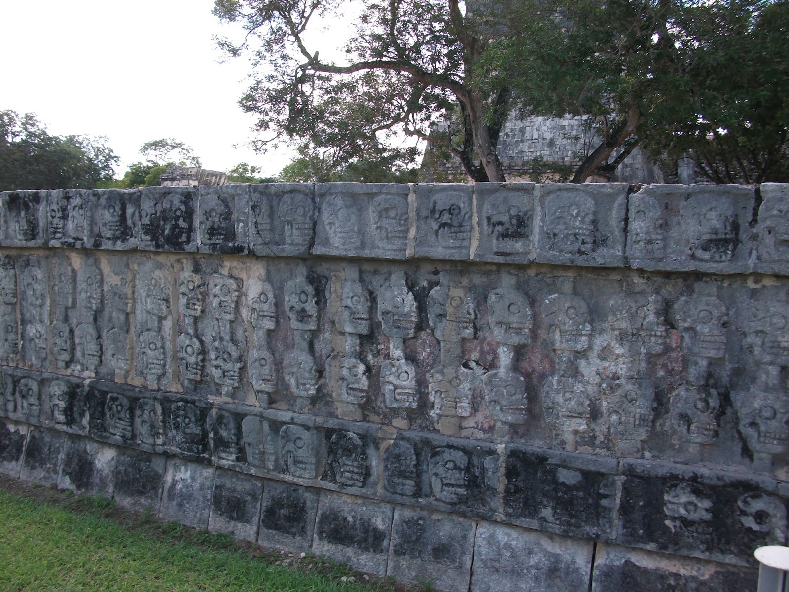 Gartenblog Geniesser Garten Sichtschutz