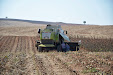 Claas Lexion 550 & Moresil GB 700 cuttebar