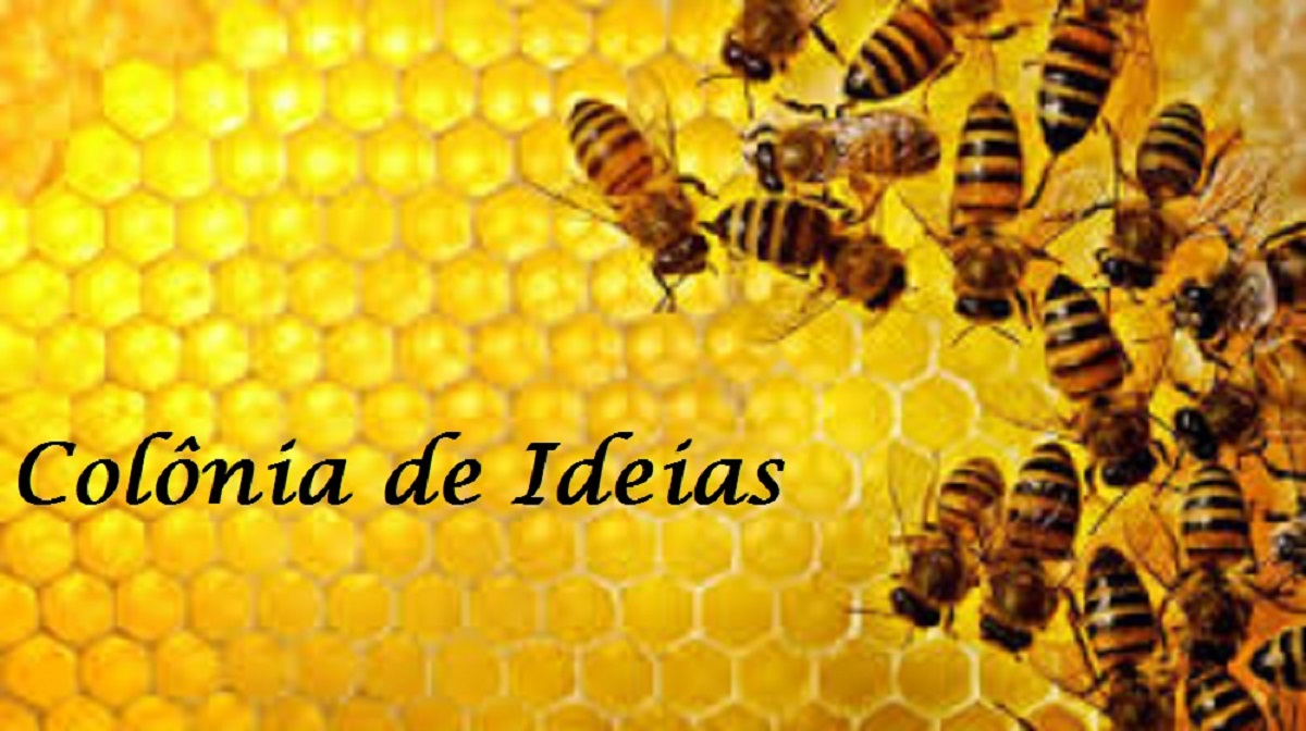 COLÔNIA DE IDEIAS