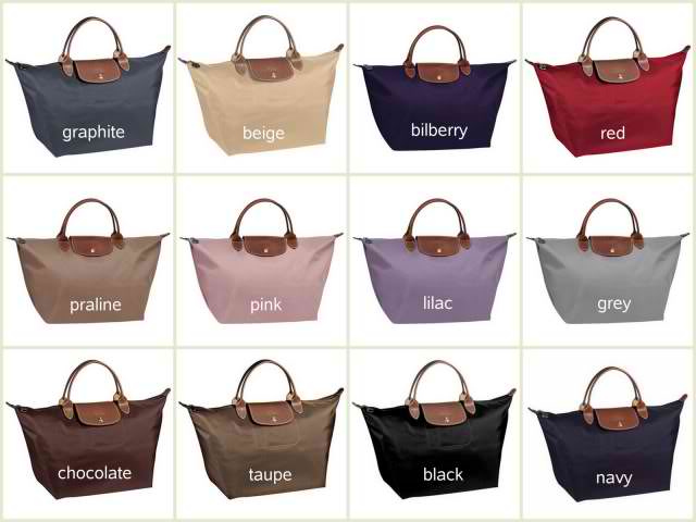 what color is bilberry longchamp