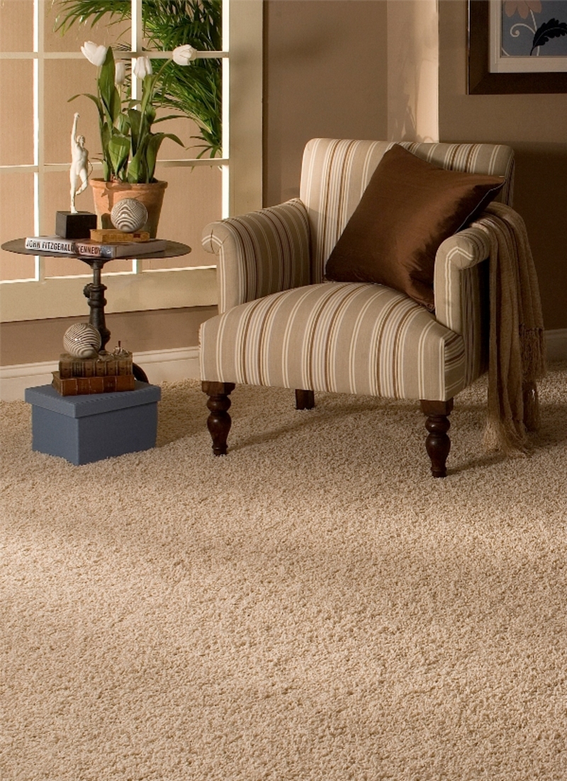 Sixth Sense Decor CARPETS vs AREA RUGS