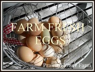 Farm Fresh Eggs