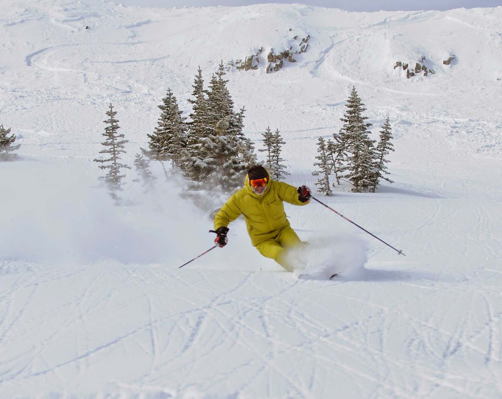 Ski Blog with Harald Harb Skiing powder