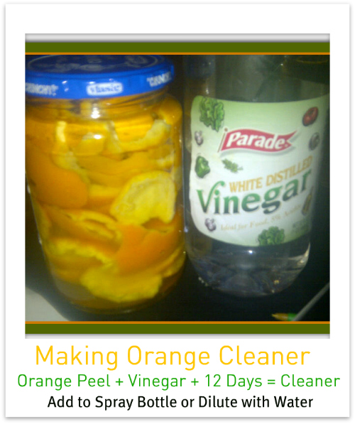 Chocolate Mint Life Vinegar Orange Peel Cleaner Green Cleaner