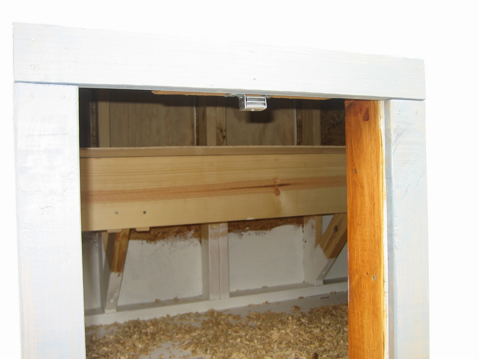 Building a Chicken Coop in Dallas Texas in my parents backyard