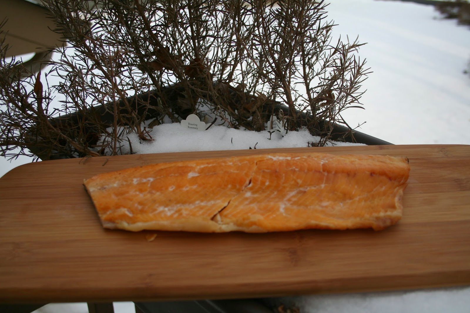 You have to cook it right Smoked Lake Trout