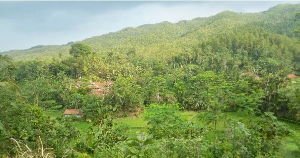 Energi Sumber utama Di Bumi coretan guru