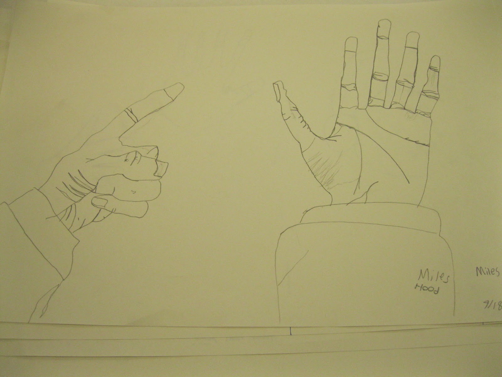 Contour Line Drawing Lesson Plan : Contour line drawing lesson plan high school