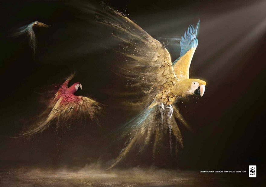 WWF: Desertification Destroys 6,000 Species Every Year - 33 Powerful Animal Ad Campaigns That Tell The Uncomfortable Truth WWF: Desertification Destroys 6,000 Species Every Year - 33 Powerful Animal Ad Campaigns That Tell The Uncomfortable Truth