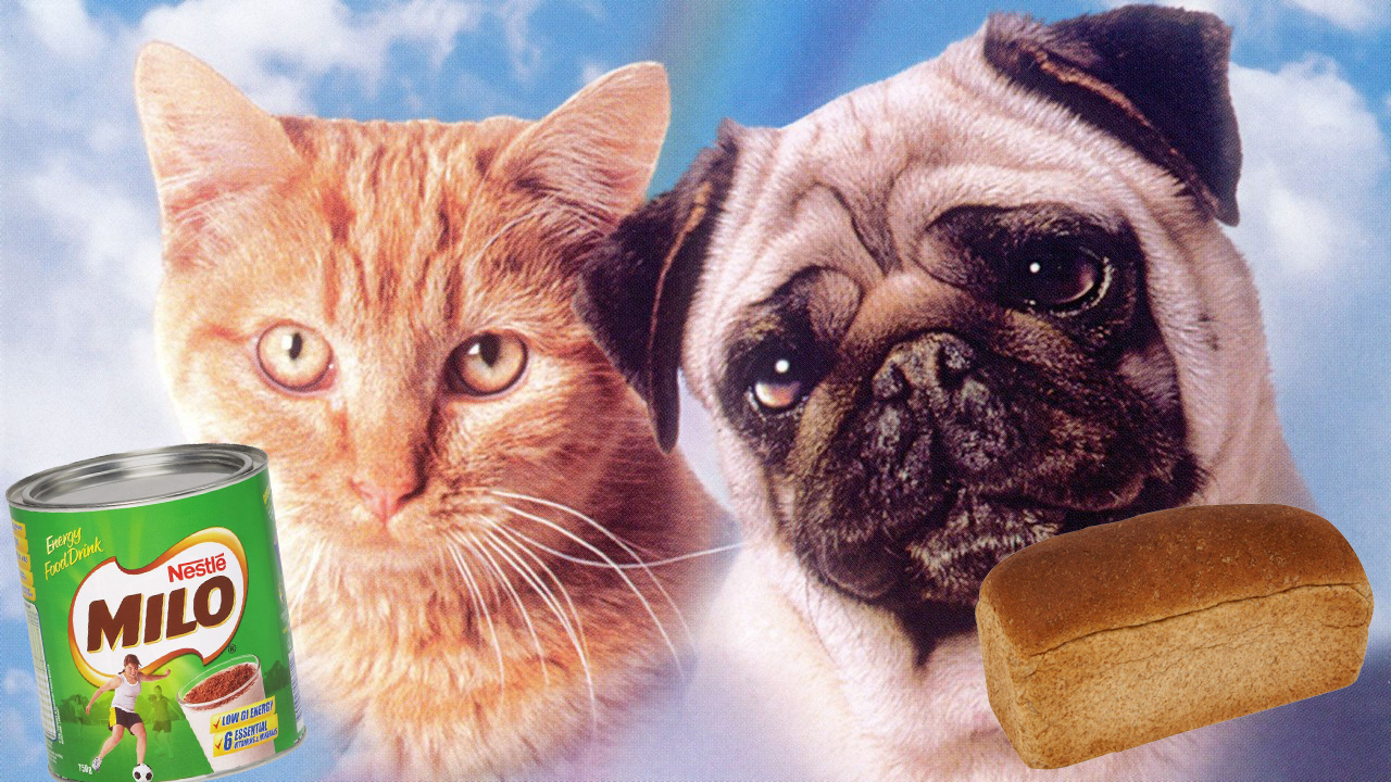 Minor characters in Bloom County - Wikipedia