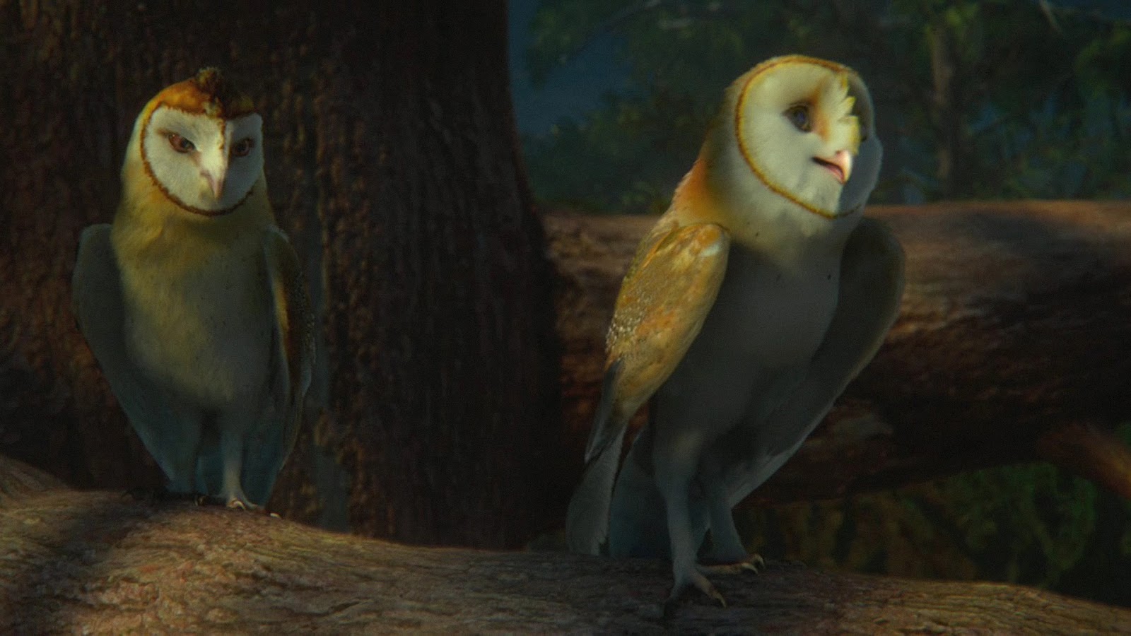 Legend of the Guardians: The Owls of GaHoole 2010