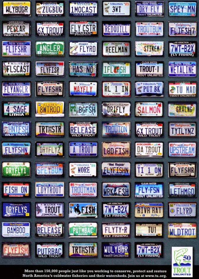 Just Plain Stupid Vanity, Thy Name Is Motorist