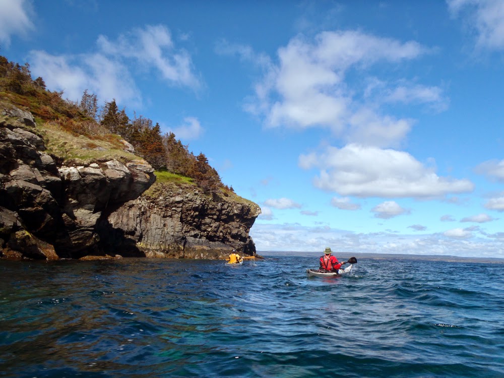 My Newfoundland Kayak Experience Sticking it to the duck in Wild Cove